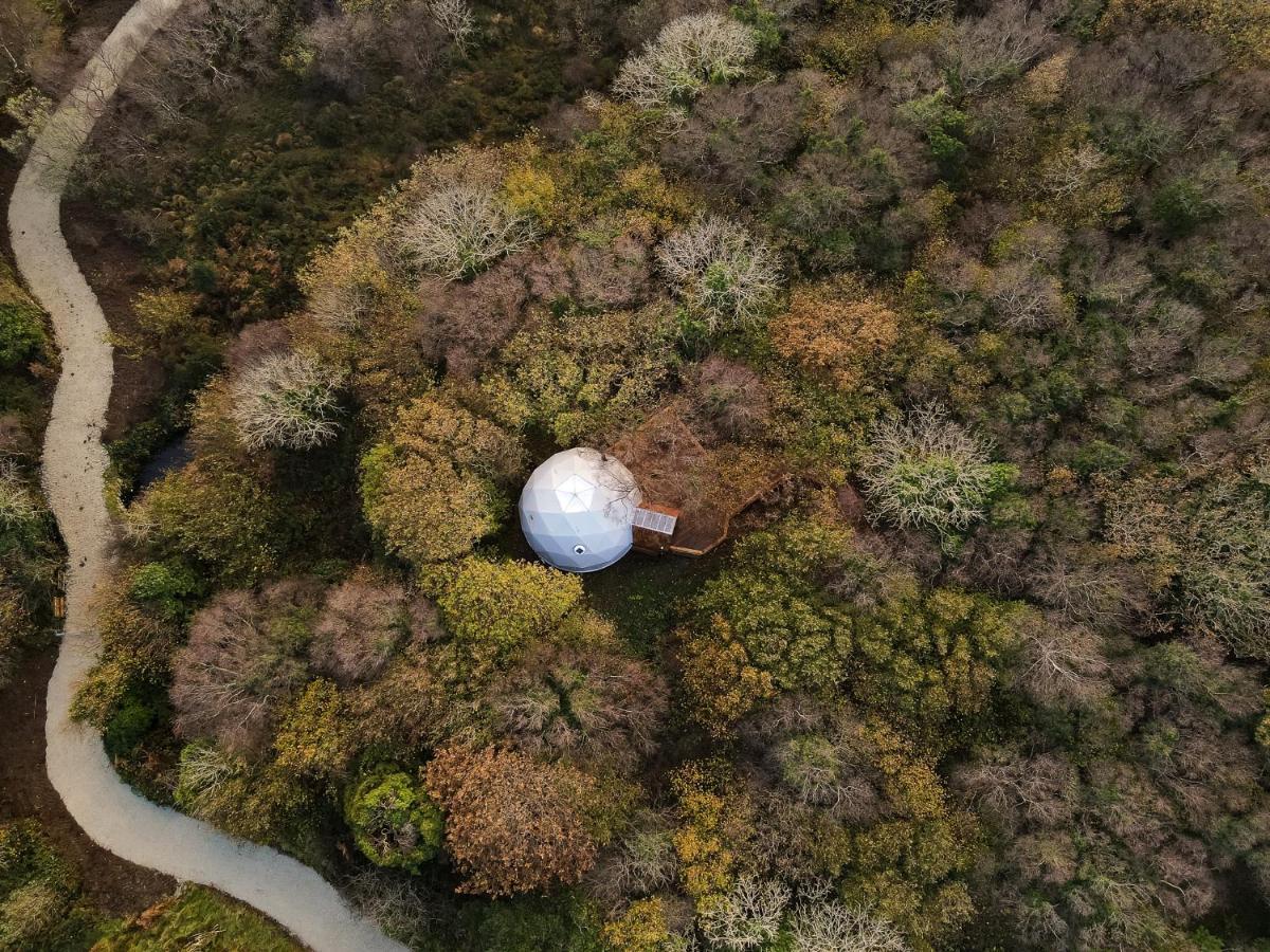 クリフデン Fernwoodヴィラ エクステリア 写真