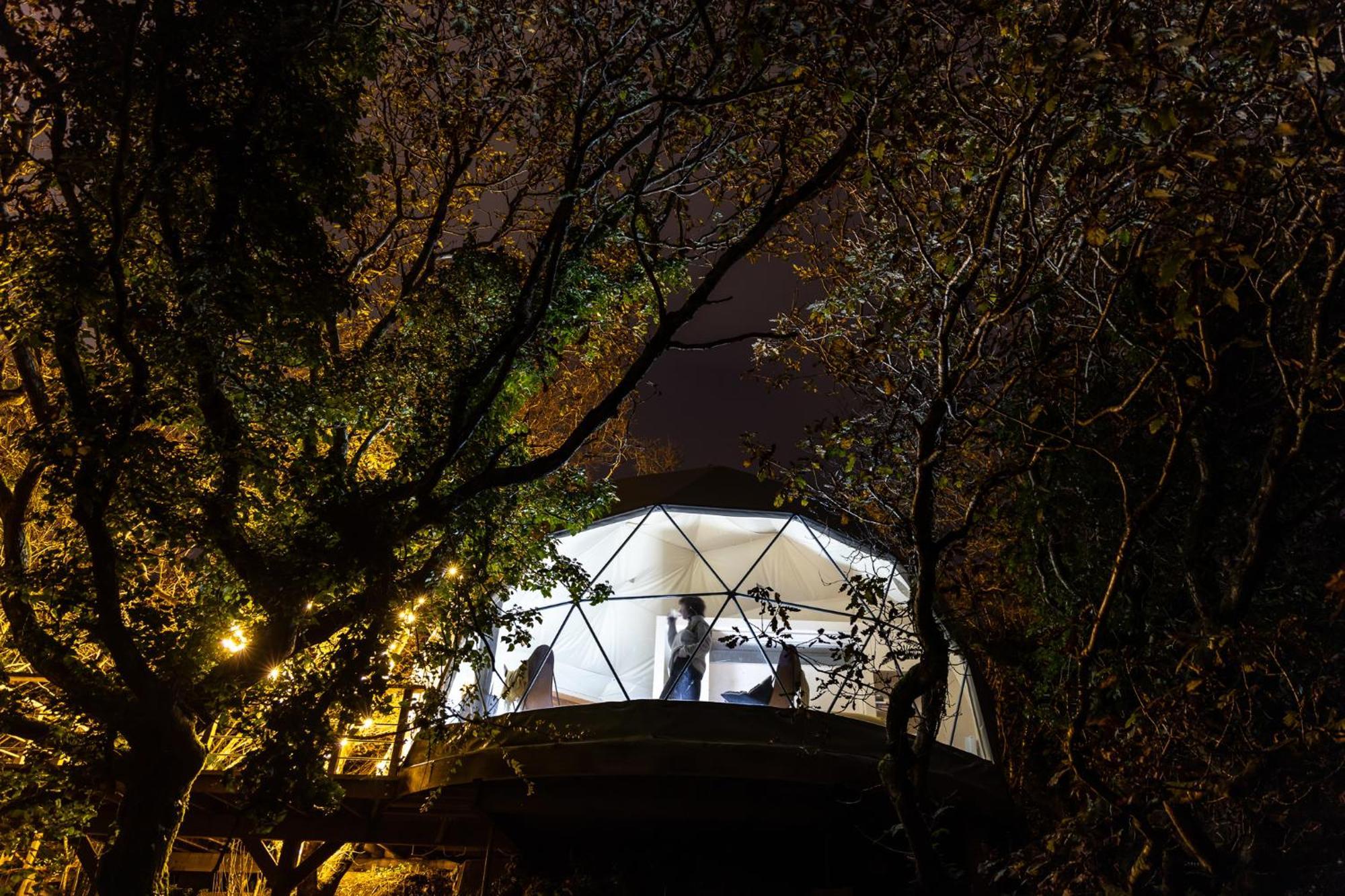 クリフデン Fernwoodヴィラ 部屋 写真