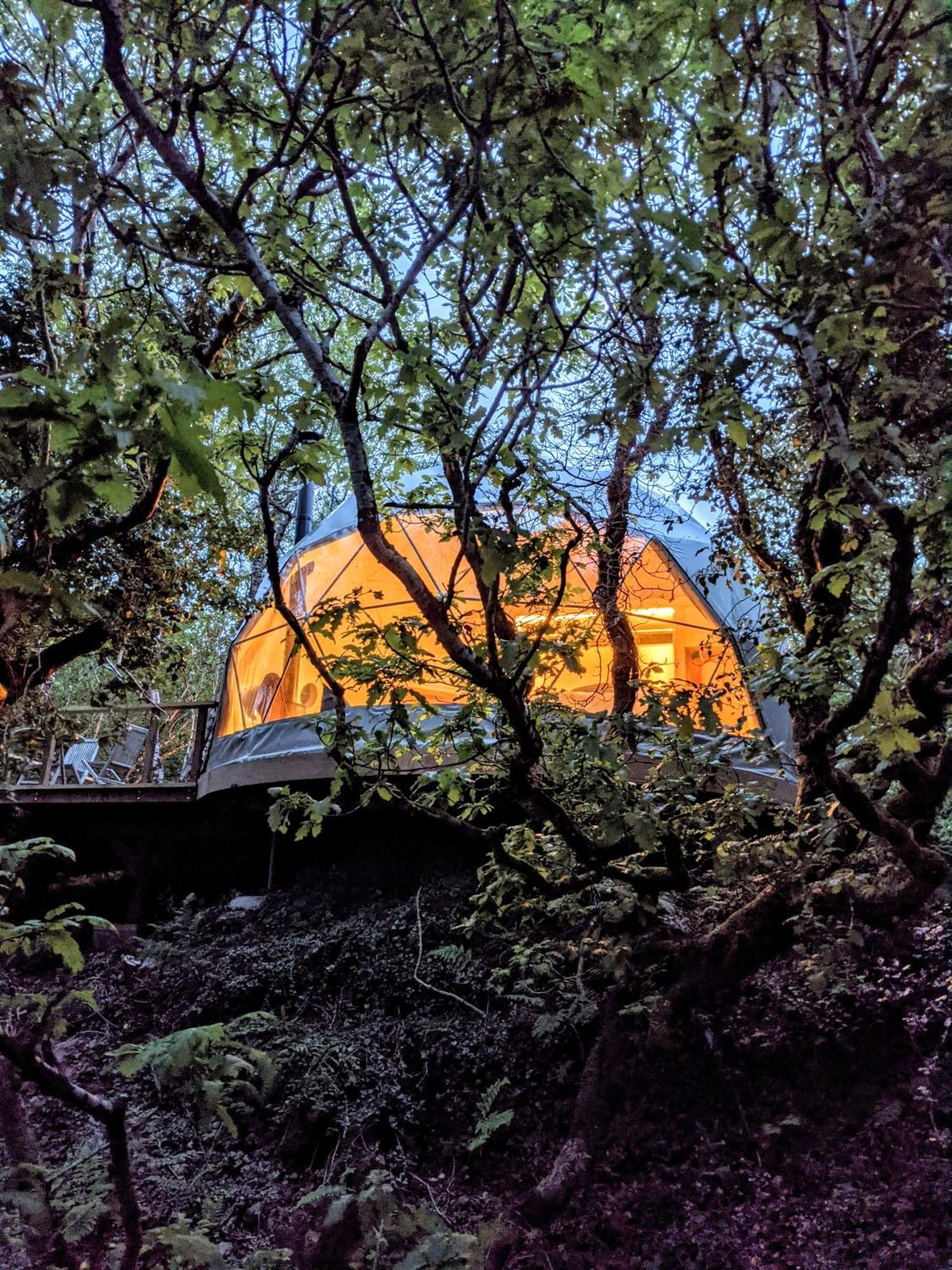 クリフデン Fernwoodヴィラ 部屋 写真